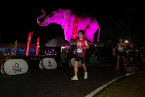 BIB: 
                            <button type="button" onclick="openModal(26535018)" class="btn btn-primary btn-sm float-right btn-popup" data-toggle="modal" data-target=".modal-high-quality">
                        <i class="fas fa-shopping-cart"></i> Add to Cart
                    </button>
                                            <button type="button" onclick="isThisMe(26535018, true)" class="btn btn-success btn-sm float-right btn-popup btn-isme hidden" data-toggle="tooltip" data-placement="bottom" title="นี่คือรูปของคุณใช่ไหม คลิกที่นี่เพื่อเอาเข้าอัลบั้ม">
                        <i class="fas fa-plus"></i> Add to album
                    </button>
                    <button type="button" onclick="isThisMe(26535018, false)" class="btn btn-warning btn-sm float-right btn-popup btn-isnotme hidden">
                        <i class="fas fa-ban"></i> Remove from album
                    </button>